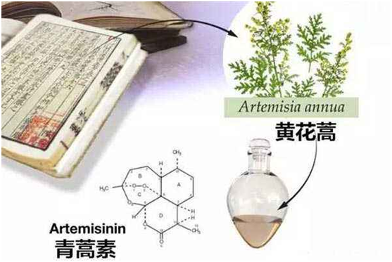 星空体育,（中国）网站首页：向中医药看齐，与世界共享中医药文化(图1)